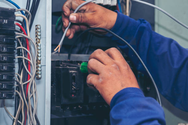 Best Ceiling Fan Installation Electrician  in Wyong, MI